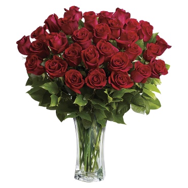 Love and Devotion - Long Stemmed Red Roses