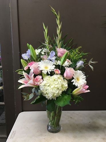Stargazer\'s Grace