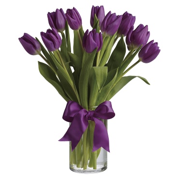 Passionate Purple Tulips