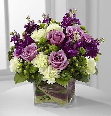 Lavender Beauty